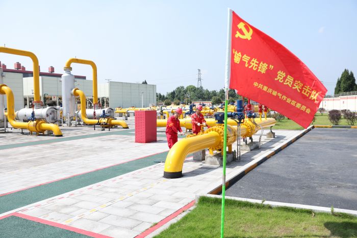 西南油气田输气管理处铜梁压气站：第五次“体检”比计划缩短124小时收官(图2)