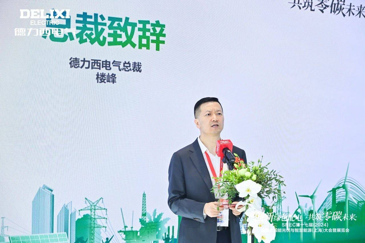 闪耀SNEC2024！德力西电气以实力开启“零碳之旅”(图3)