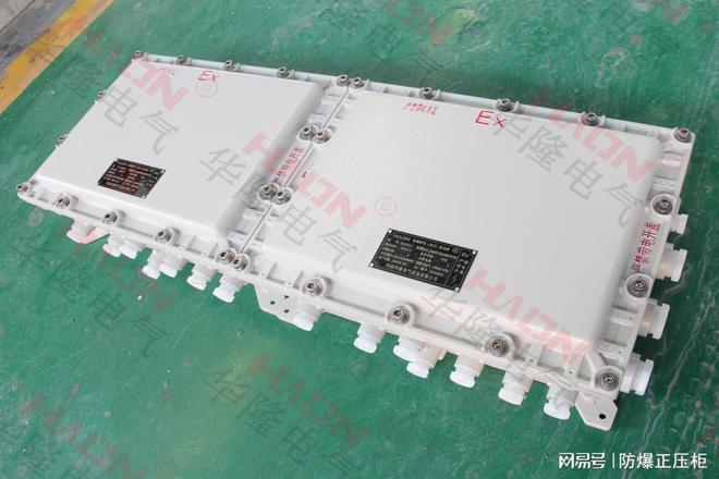 防爆接线端子箱：工业安全的守护者(图3)