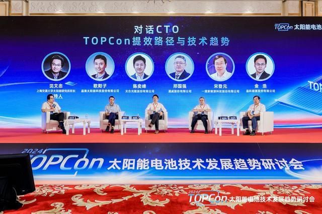 TOPCon可以走多远？5家光伏龙头企业C(图1)