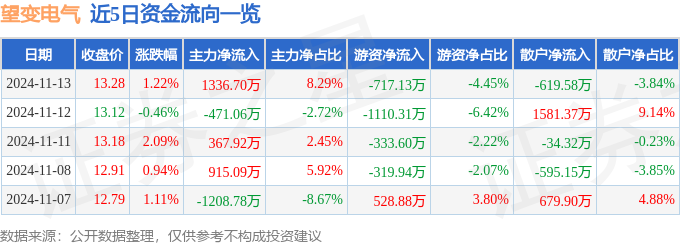 股票行情快报：望变电气（603191）11月13日主力资金净买入133670万元(图1)