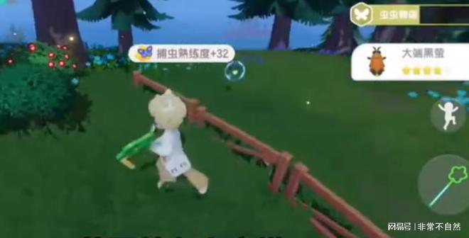 心动小镇捕虫稀有虫类点位大全心动小镇蓝胸木蜂怎么捕捉(图2)