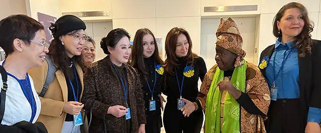 联合国妇女地位委员会第69届会议:聚焦女性力量与孤独症儿童关怀(图1)