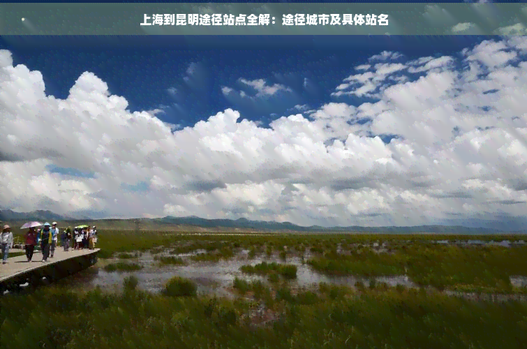 上海到昆明途径站点全解：途径城市及具体站名(图1)
