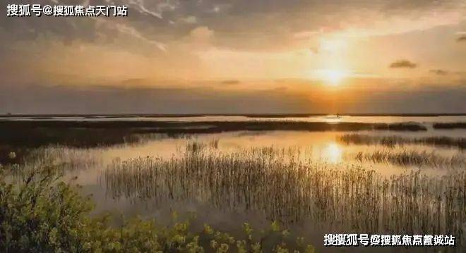 上实和风院(营销中心)首页网站-上实和风院销售中心(售楼处)(图8)