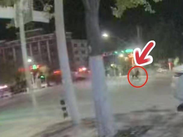 汉中旅游被拉车门后续：车主发声对方系未成年家属还私信施压(图5)