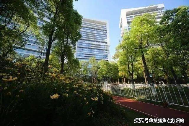 2025中鹰黑森林售楼中心-首页网站-中鹰黑森林售楼处欢迎您楼盘详情价格户型(图8)