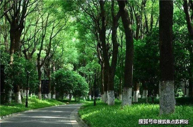 2025中鹰黑森林售楼中心-首页网站-中鹰黑森林售楼处欢迎您楼盘详情价格户型(图7)