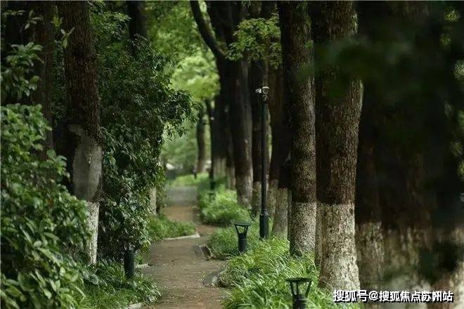 2025中鹰黑森林售楼中心-首页网站-中鹰黑森林售楼处欢迎您楼盘详情价格户型(图9)