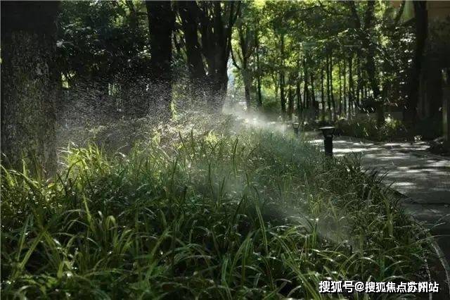 2025中鹰黑森林售楼中心-首页网站-中鹰黑森林售楼处欢迎您楼盘详情价格户型(图10)