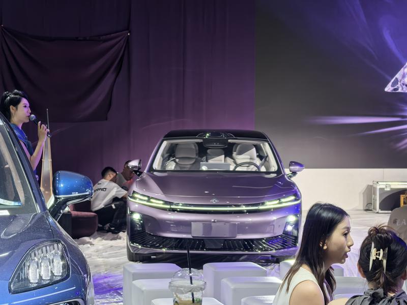 2025成都车展十大必看新车极氪9X岚图追光L领衔(图31)