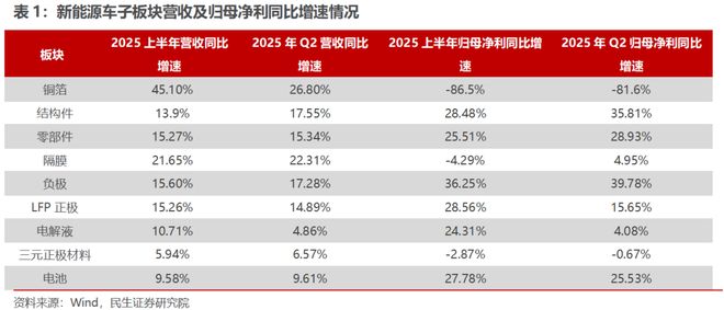 电新行业2025年半年报业绩总结:乘势笃行静待花开【民生电新】(图5)