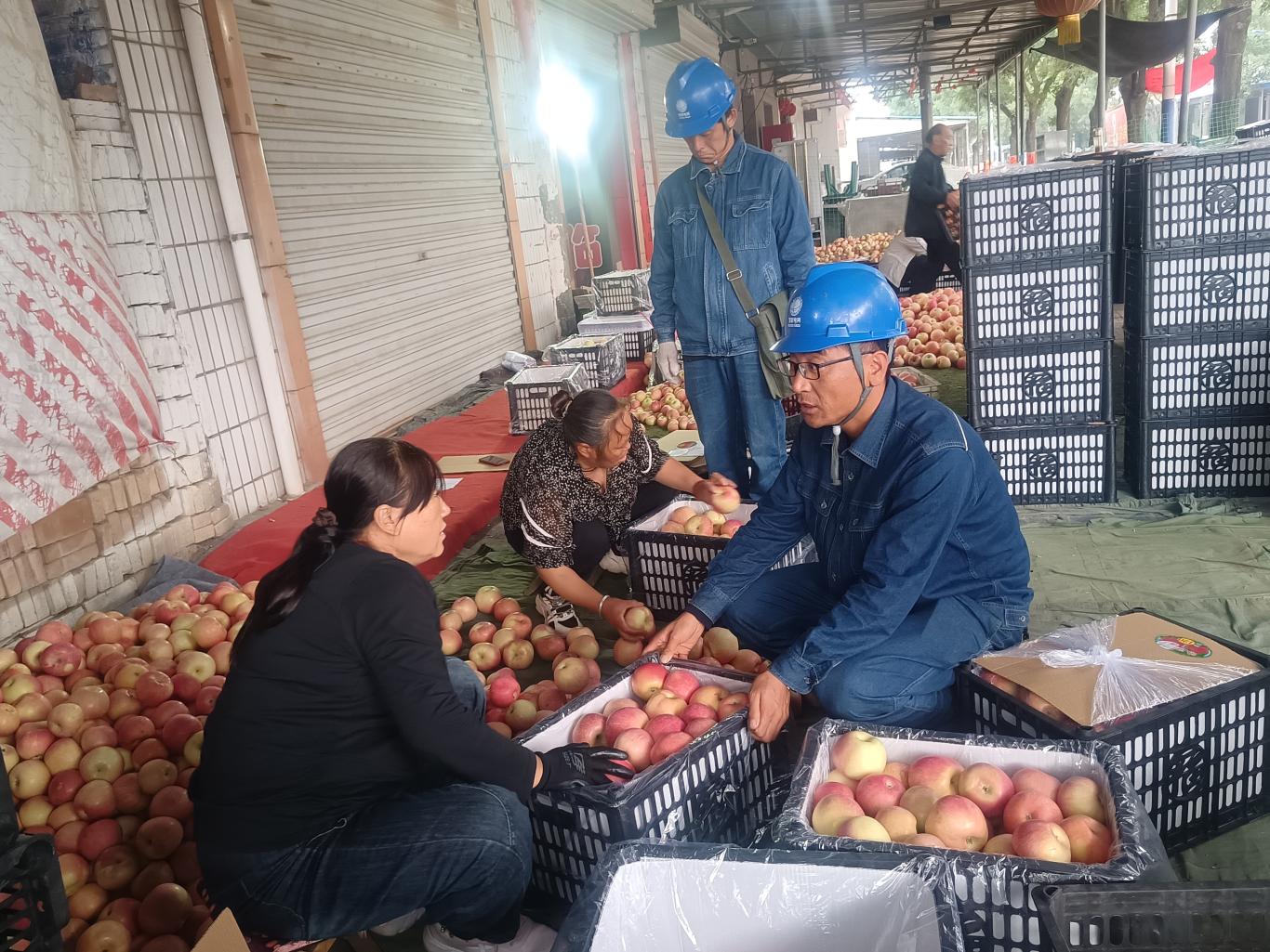 国网合阳供电公司：护航苹果丰收季让“甜蜜事业”电力十足(图2)