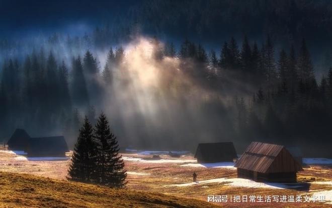 2025年市面上热缩端子绝缘端子最新推荐排行榜-温州摩根电气(图1)