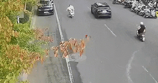 求求你别再用电动车“挡风被”了！(图1)