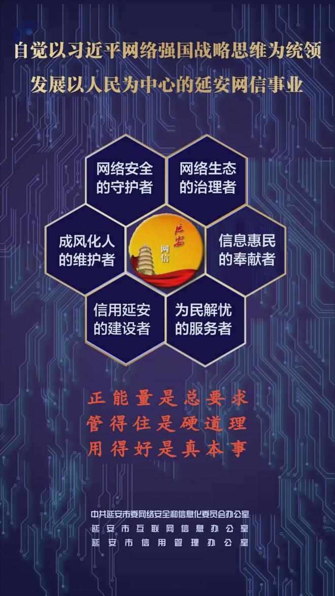 雪打衣衫心向暖踏雪巡线护民生——国网宜川县供电公司顶风冒雪保供电一线见闻(图3)