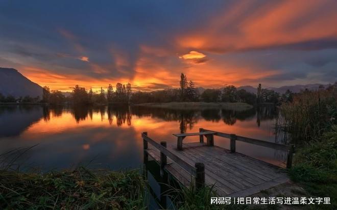 2025年热门的冷压端子圆形端子推荐生产厂家-温州摩根电气(图1)